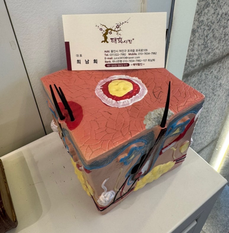 태후사랑머리염색두피 이미지