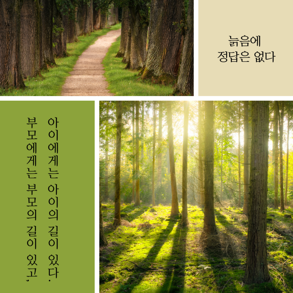 써니디자인 이미지