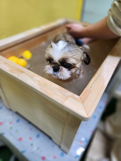 스파건강마사지샵 이미지