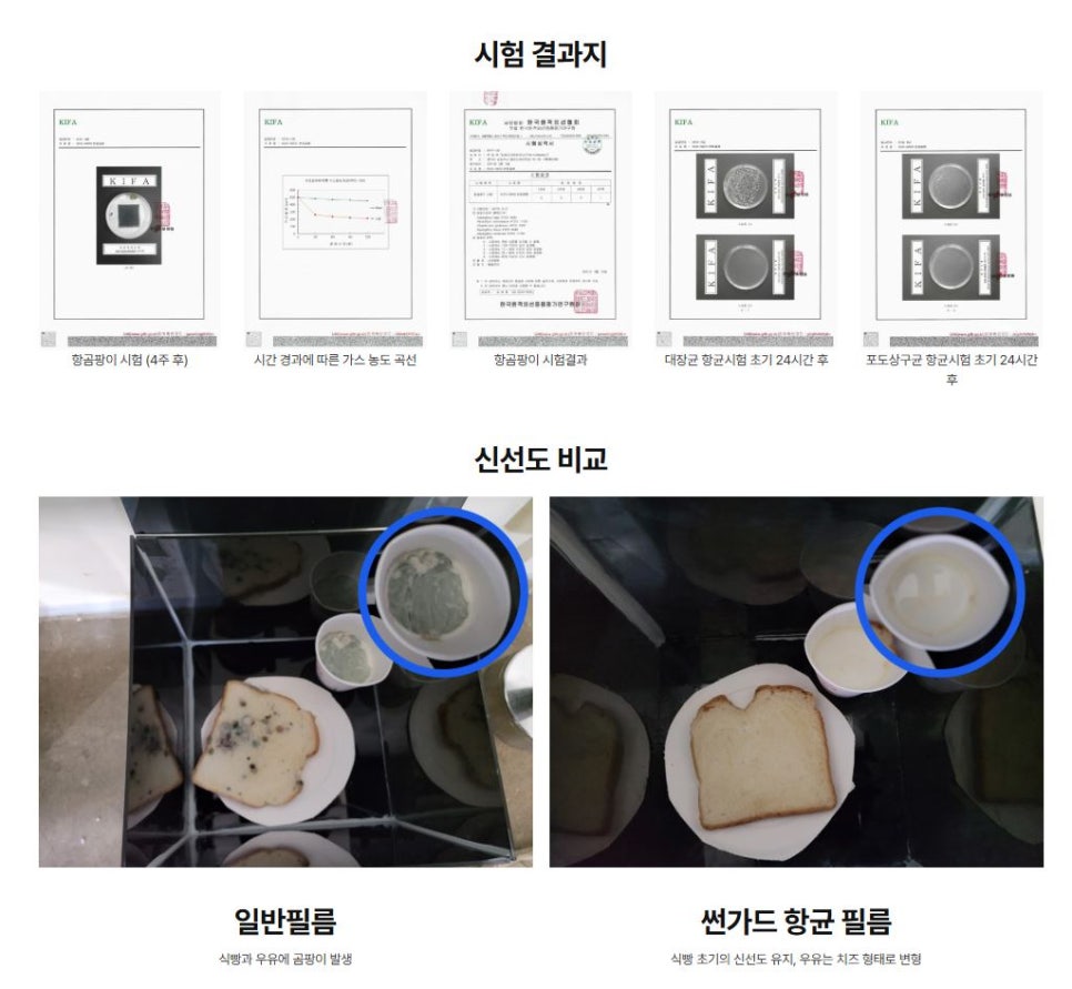 포레스트필름 이미지
