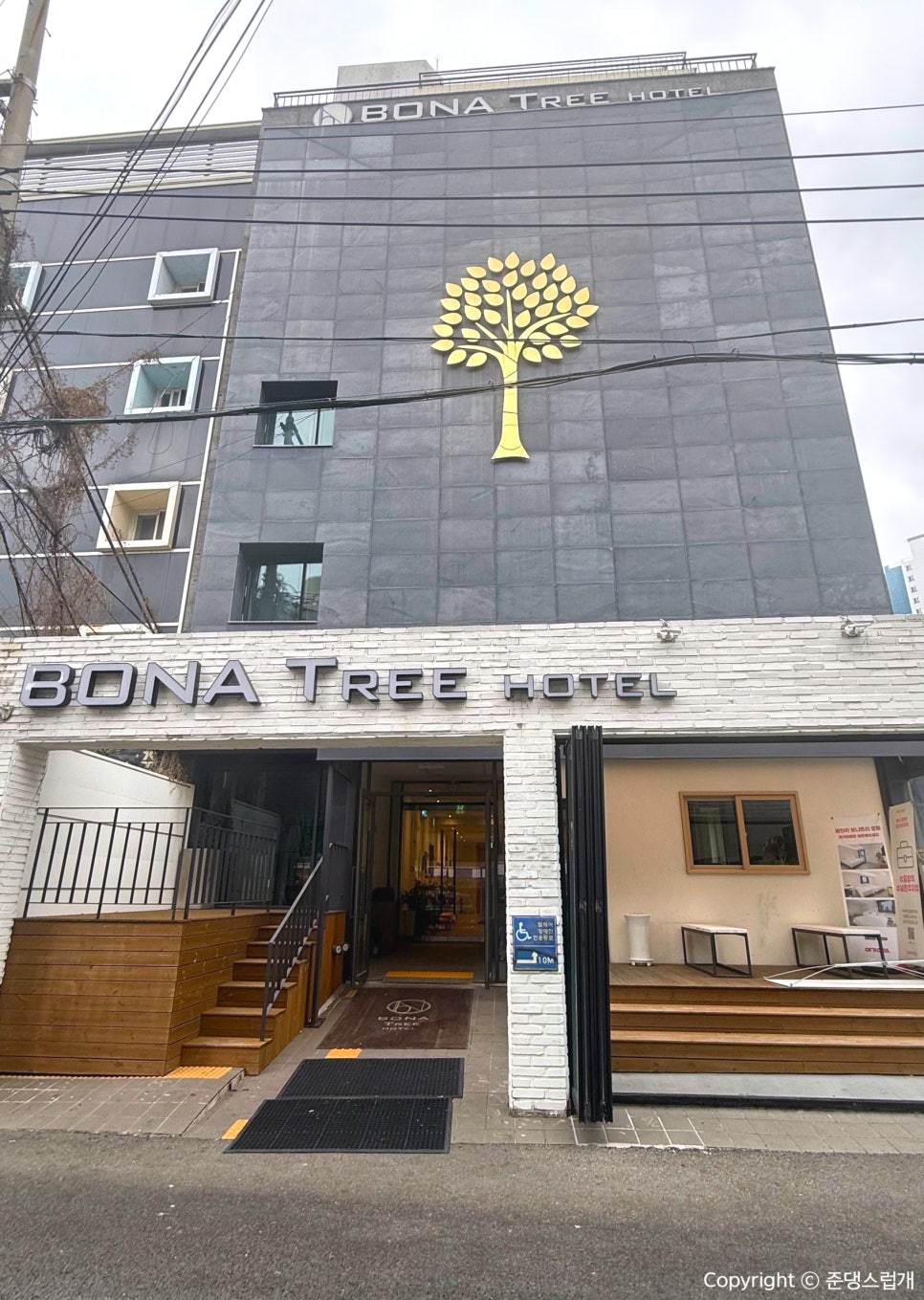 보나트리 이미지