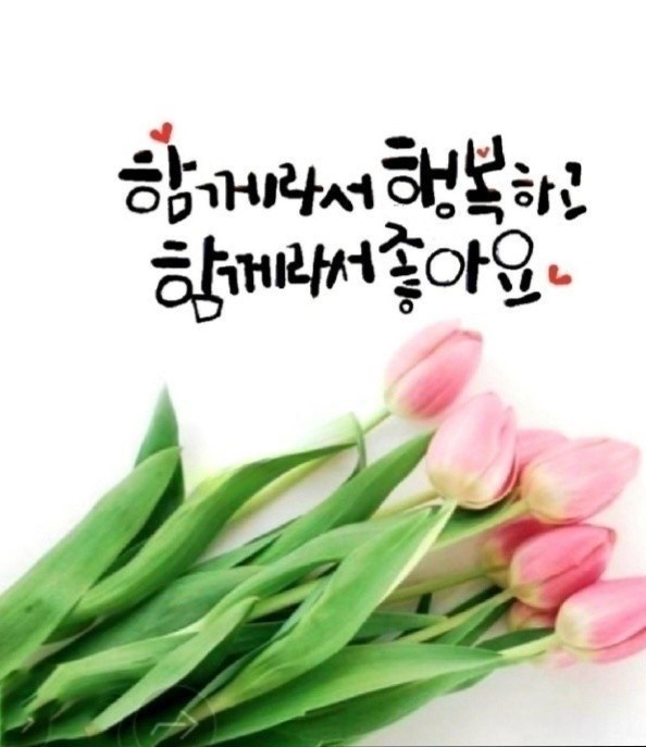 카루소 이미지