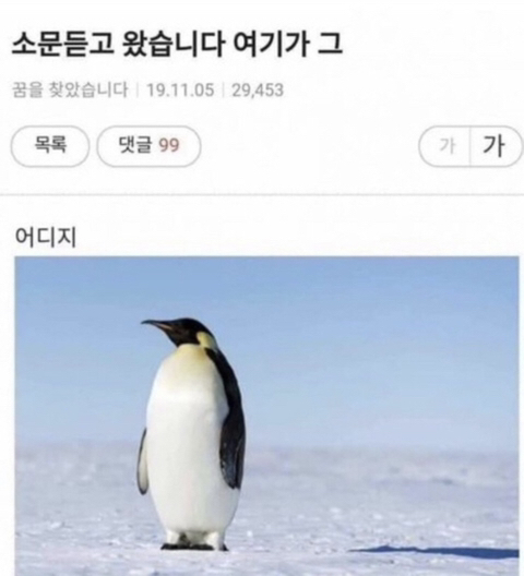 솔가숯불갈비 이미지
