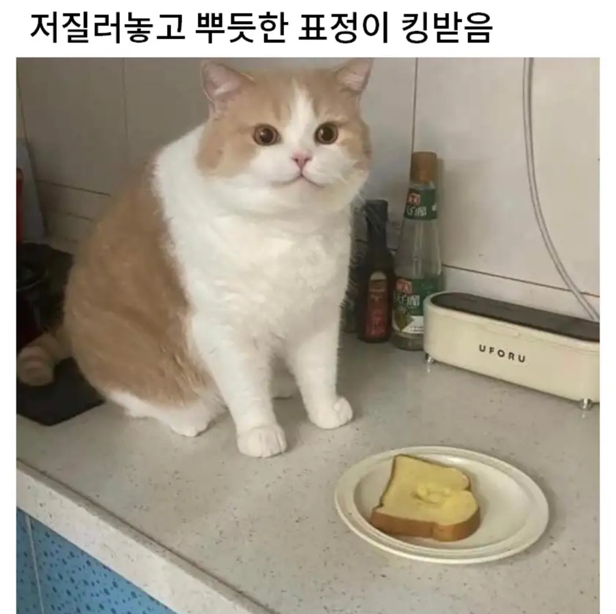 (주) 아주 이미지