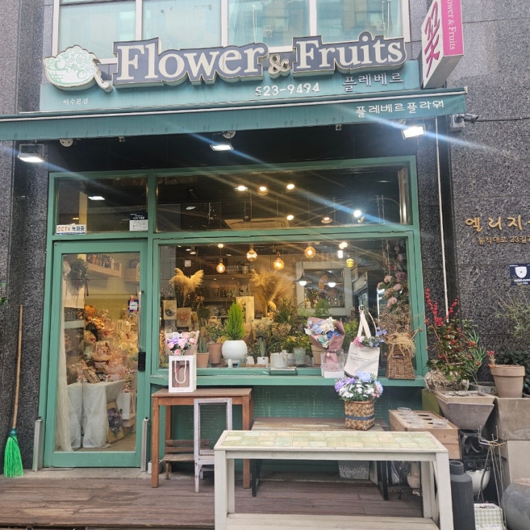 플레베르플라워 이미지