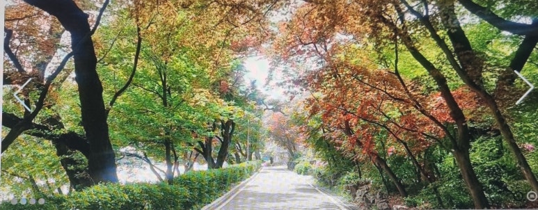 동명여자고등학교 이미지