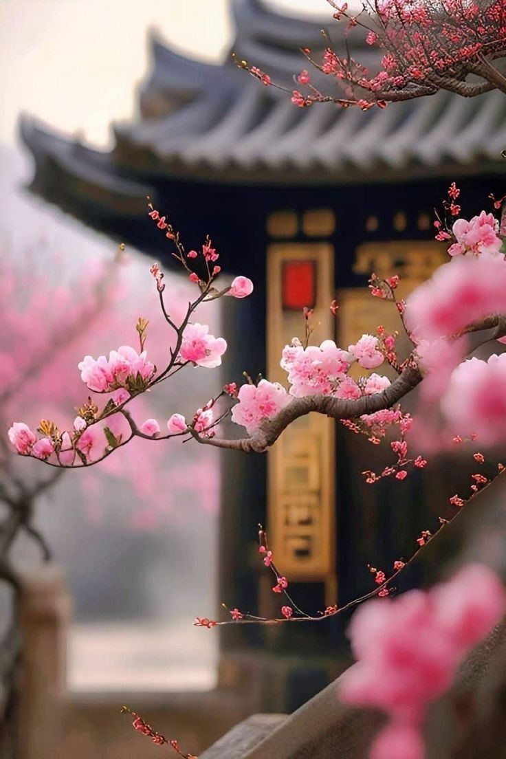 하동책방 이미지