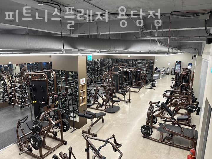 피트니스플레져 이미지