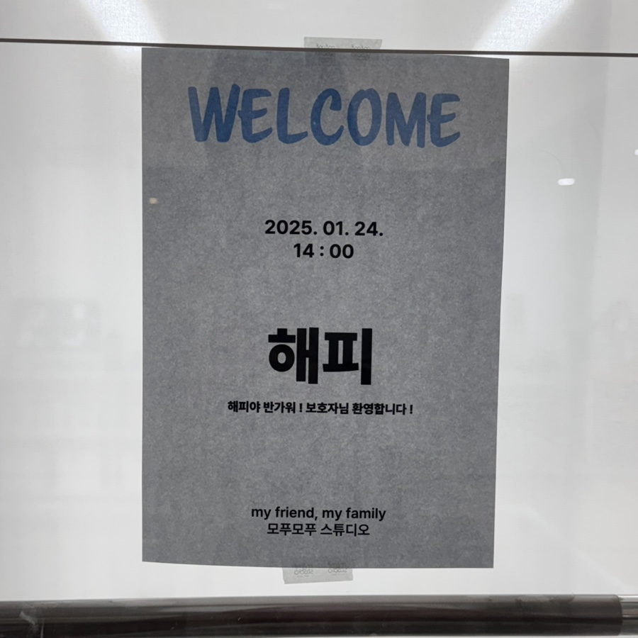 안산 강아지 사진관 모푸모푸, 증멍사진 5만원대 가성비 — 사진 3
