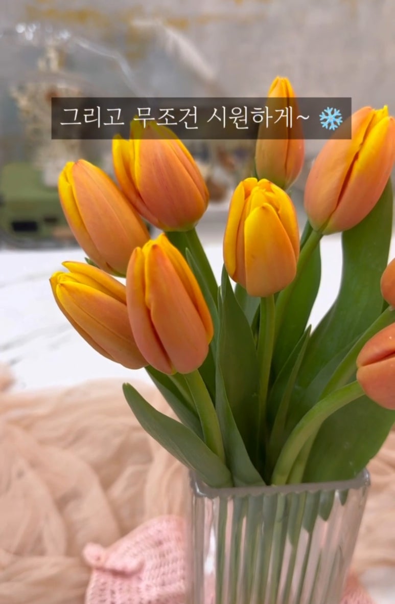 플로리에스텔논현꽃집 이미지