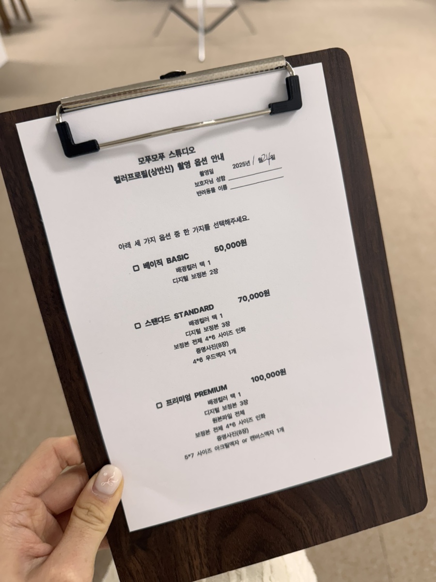 안산 강아지 사진관 모푸모푸, 증멍사진 5만원대 가성비 — 사진 10