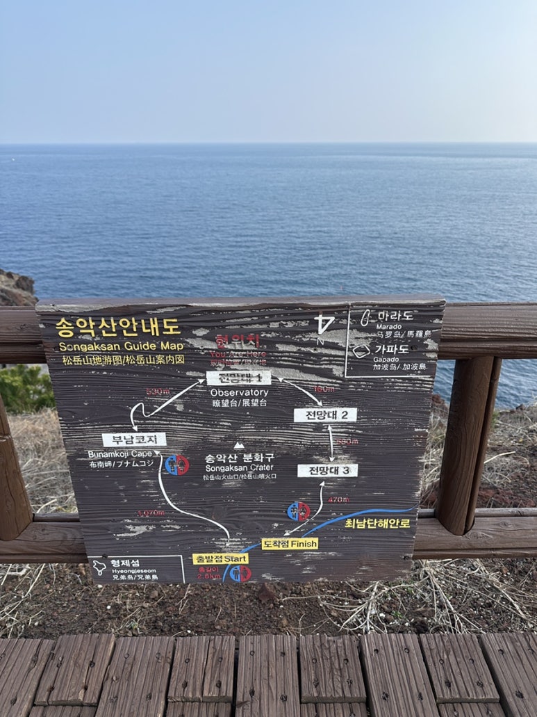 도구리알 이미지
