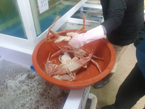 순양호영덕대게직판장 이미지