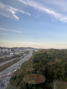 룸숲 이미지