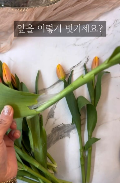플로리에스텔논현꽃집 이미지