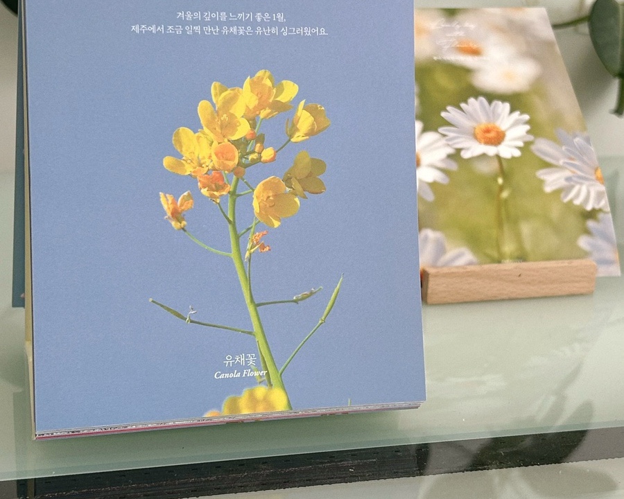 플레르드메 이미지