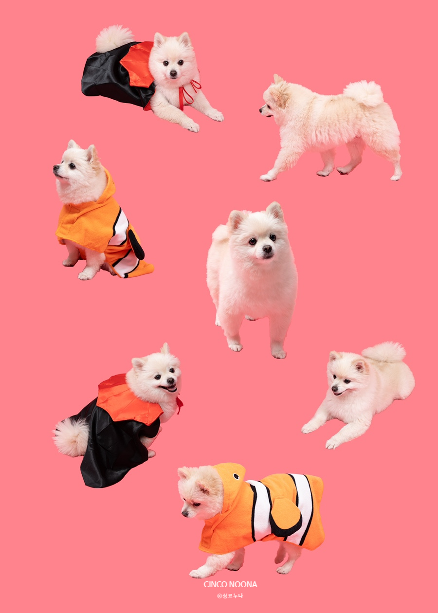 싼타사진관 이미지