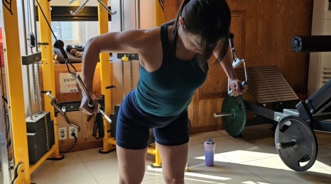빵실빵실 이미지