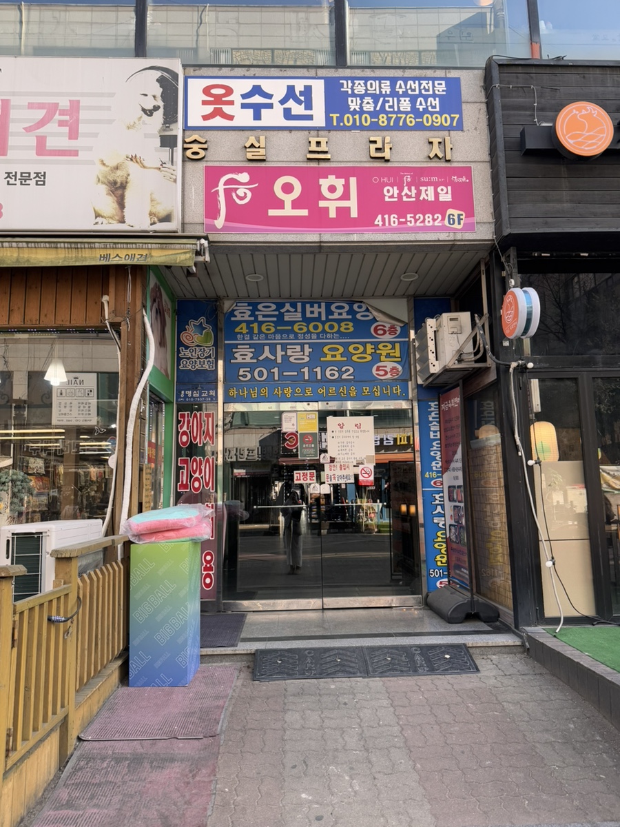 안산 강아지 사진관 모푸모푸, 증멍사진 5만원대 가성비 — 사진 2