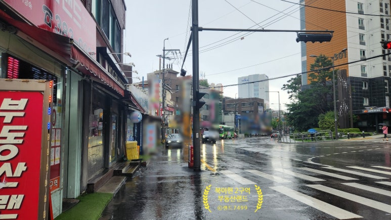 가배정인 이미지