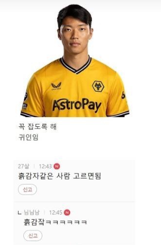 빵실빵실 이미지