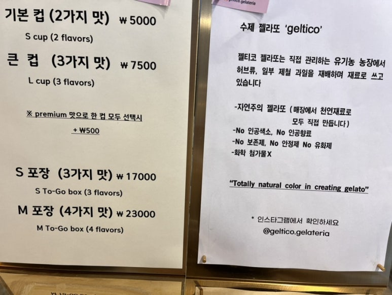 젤티코 이미지
