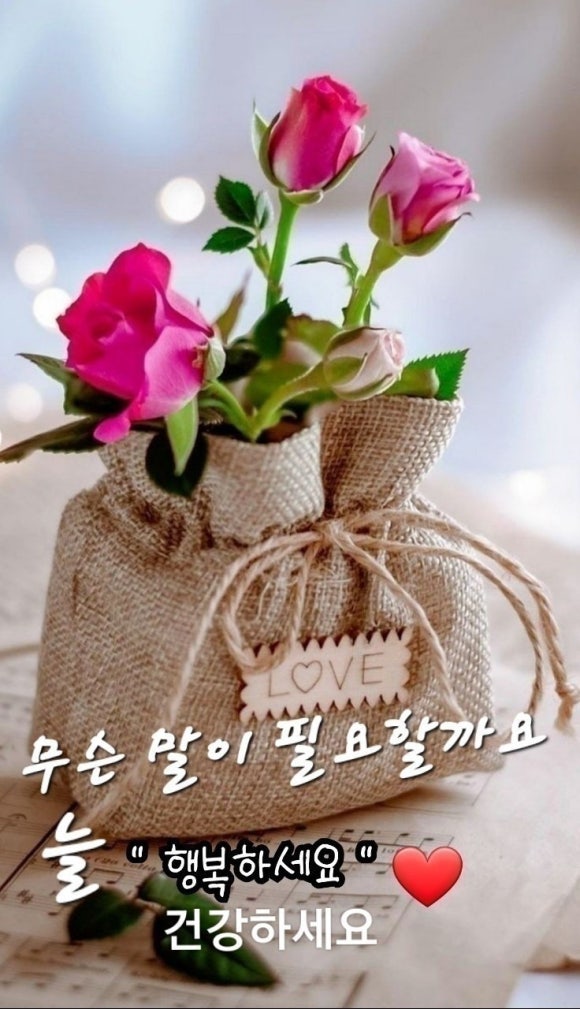 예쁜여우 이미지