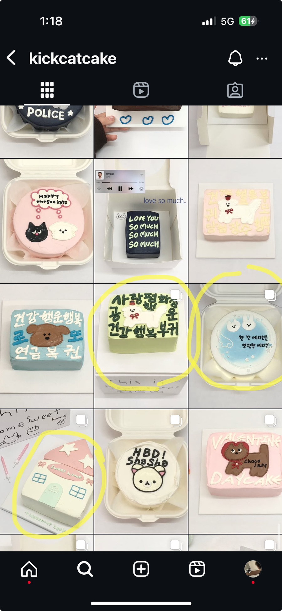 킥캣 이미지