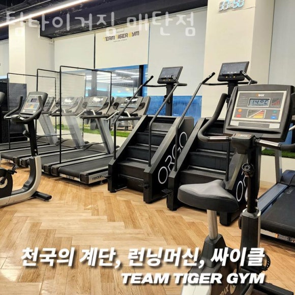 팀타이거짐 이미지