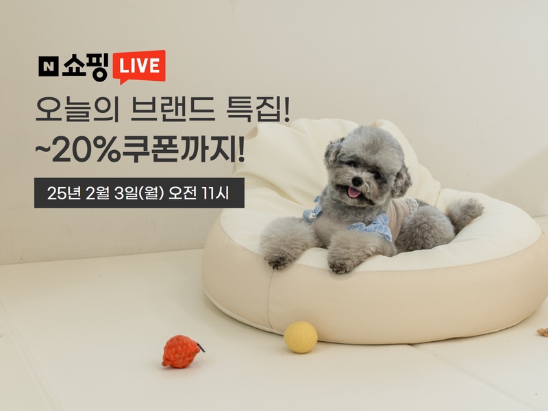 디팡 이미지