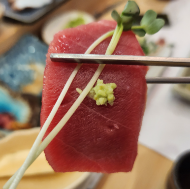 강참치 이미지