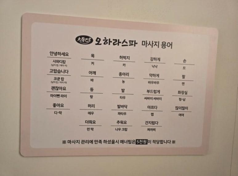 오하라타이스파 이미지