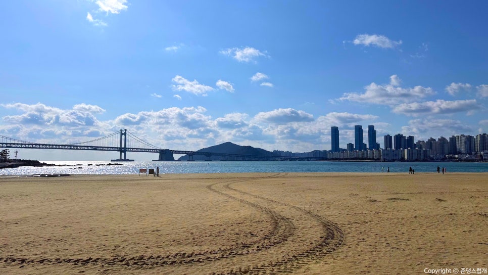 보나트리 이미지