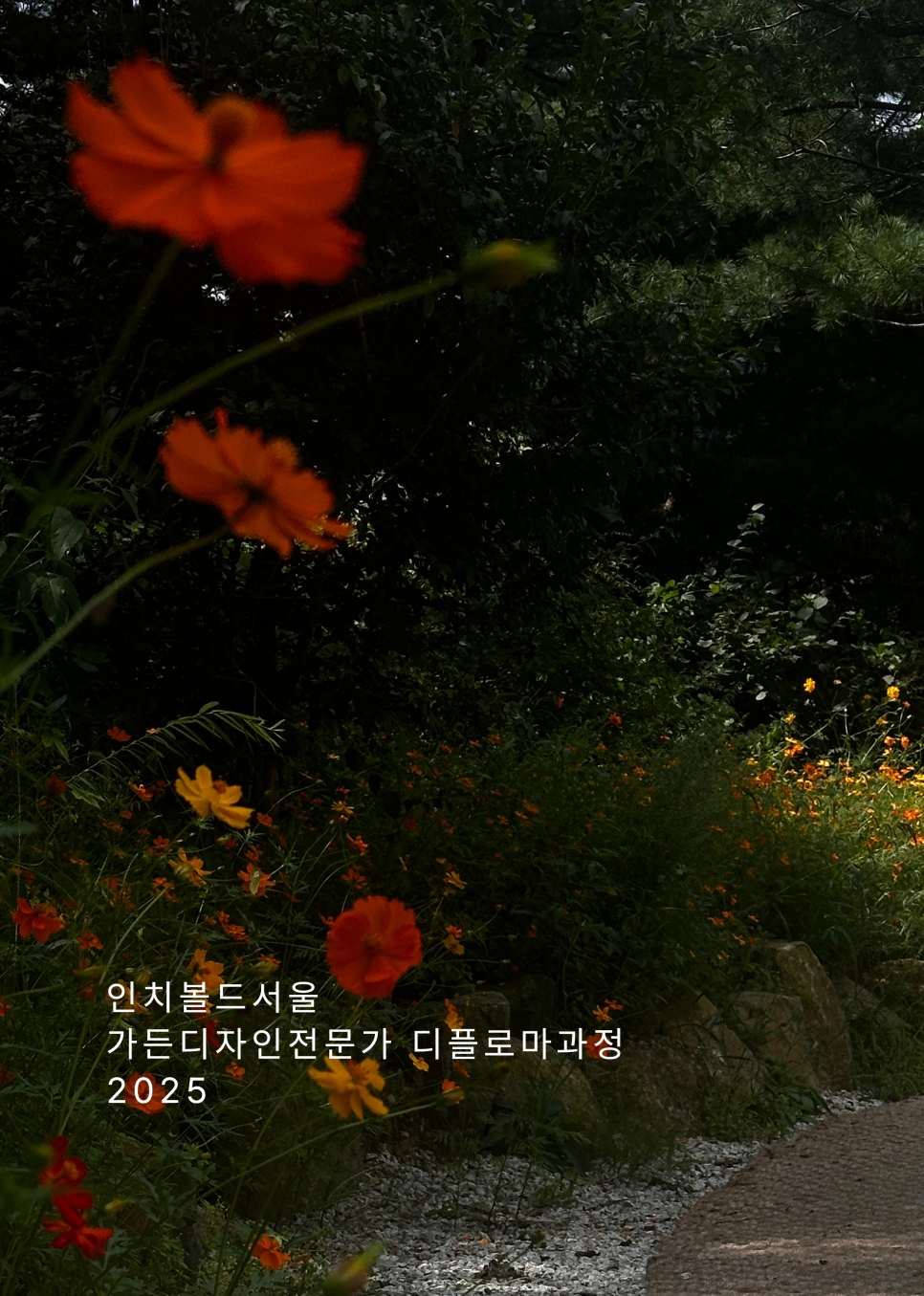 인치볼드서울 이미지