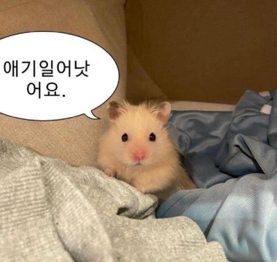 커피명가 이미지
