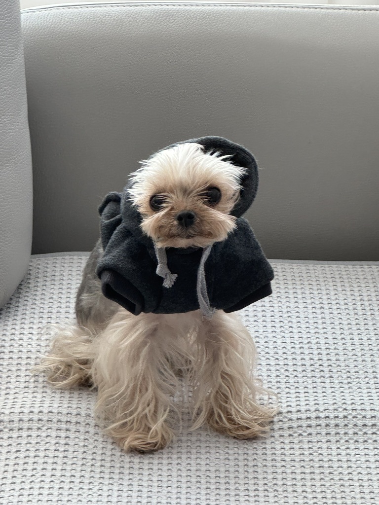 막내카센타 이미지