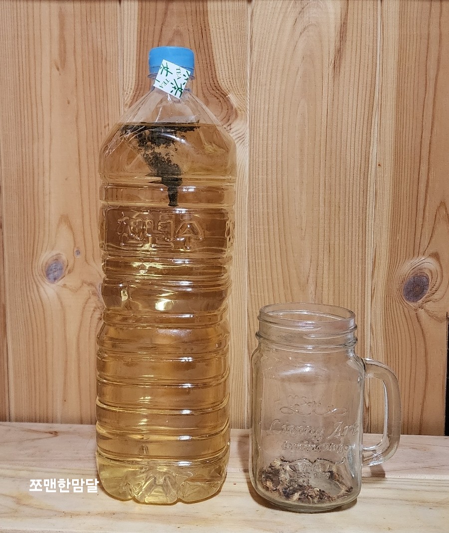 쪼맨한맘달 이미지