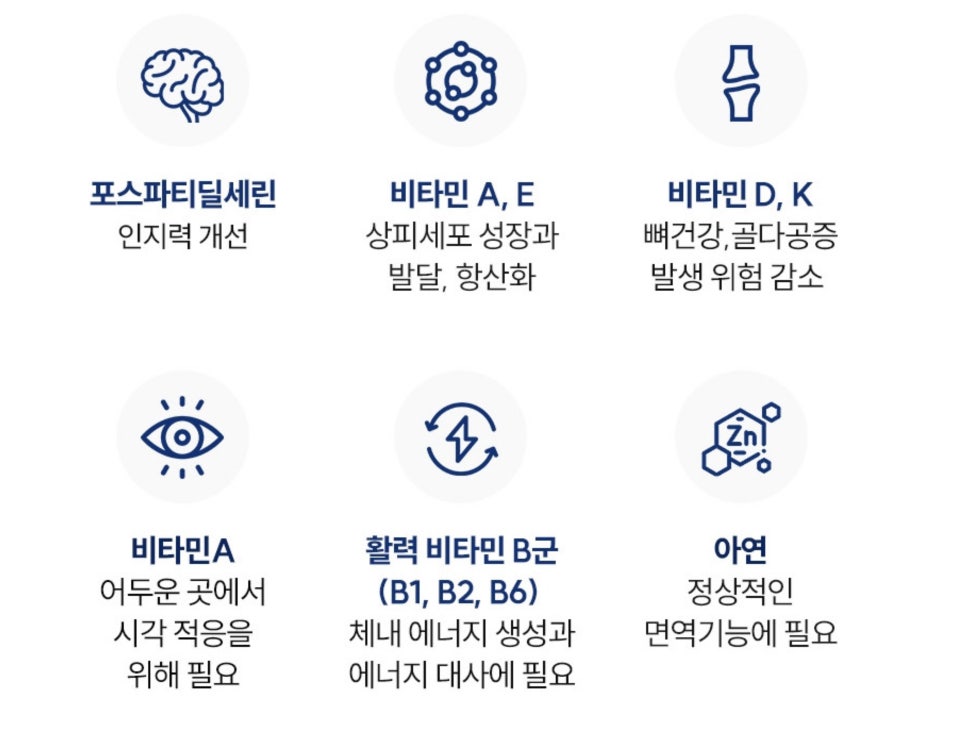 청명생기력 포스파티딜셀린 인지력케어 PS 비타민 '직장인 두뇌 건강 영양제 후기' 이미지 9