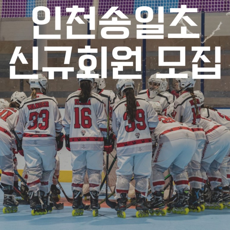 플레임스인라인하키클럽 이미지