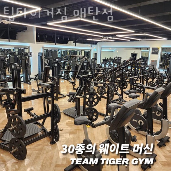 팀타이거짐 이미지