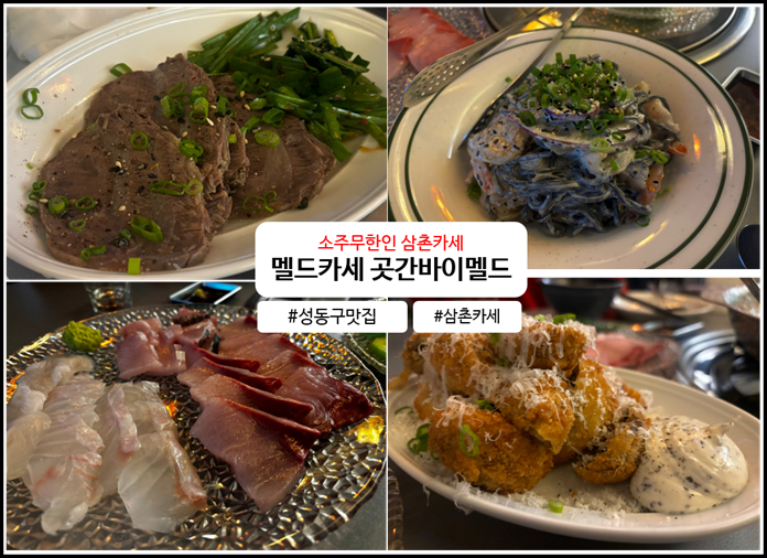 바이멜 이미지