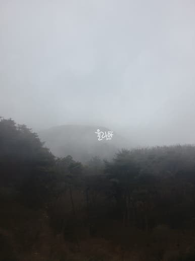 평양왕순대 이미지