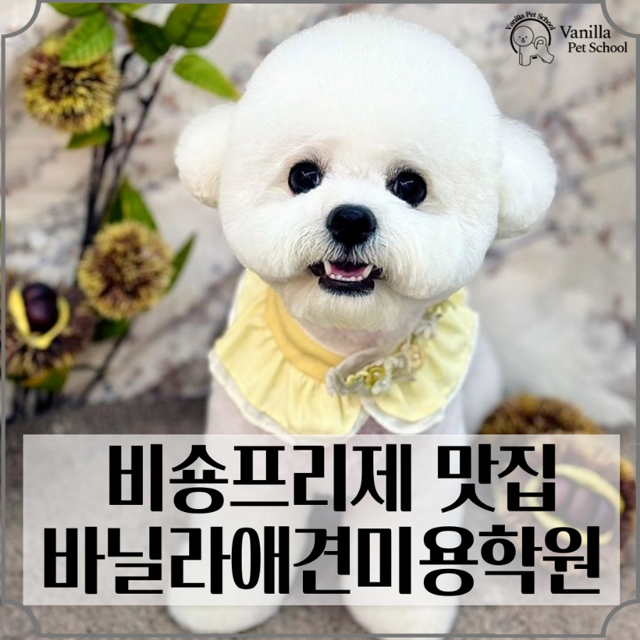 현대미용학원 이미지