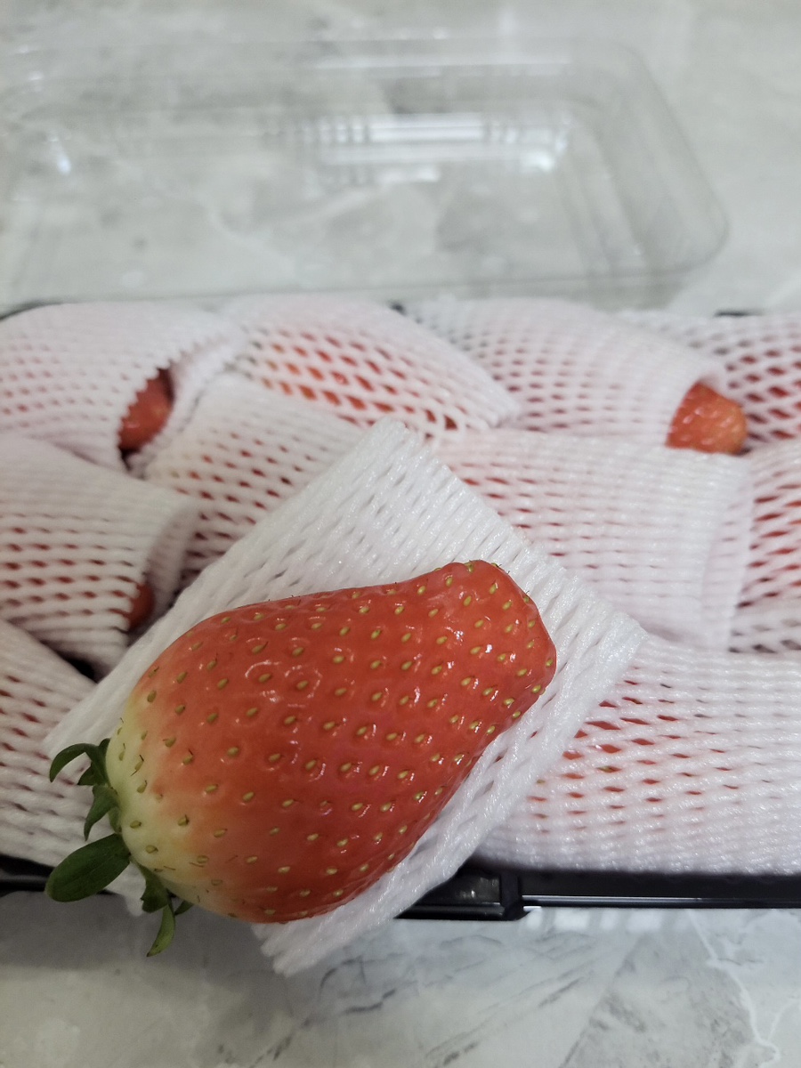 과일점 이미지