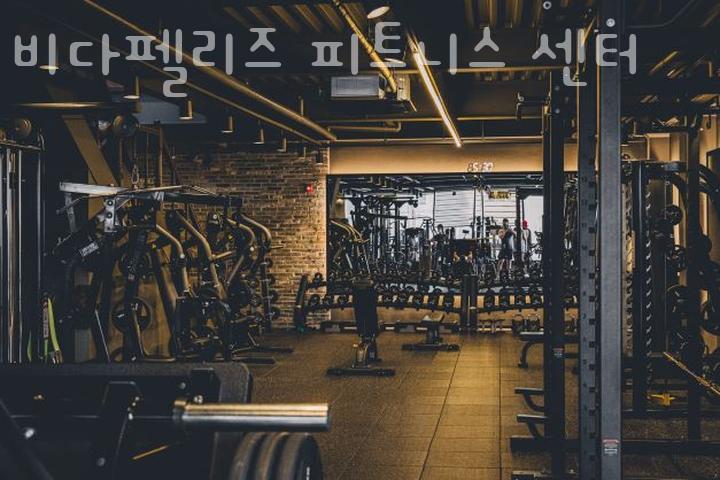 비다펠리즈 이미지