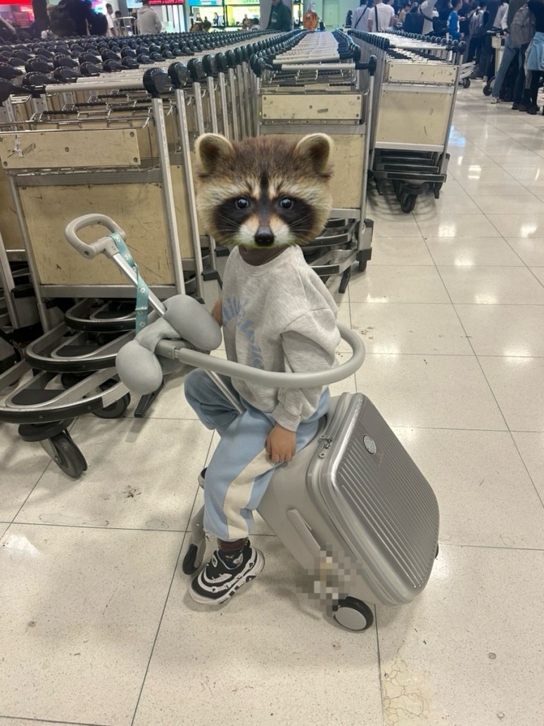 부티크스트릿 이미지