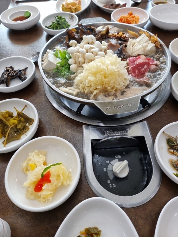 산들애 이미지