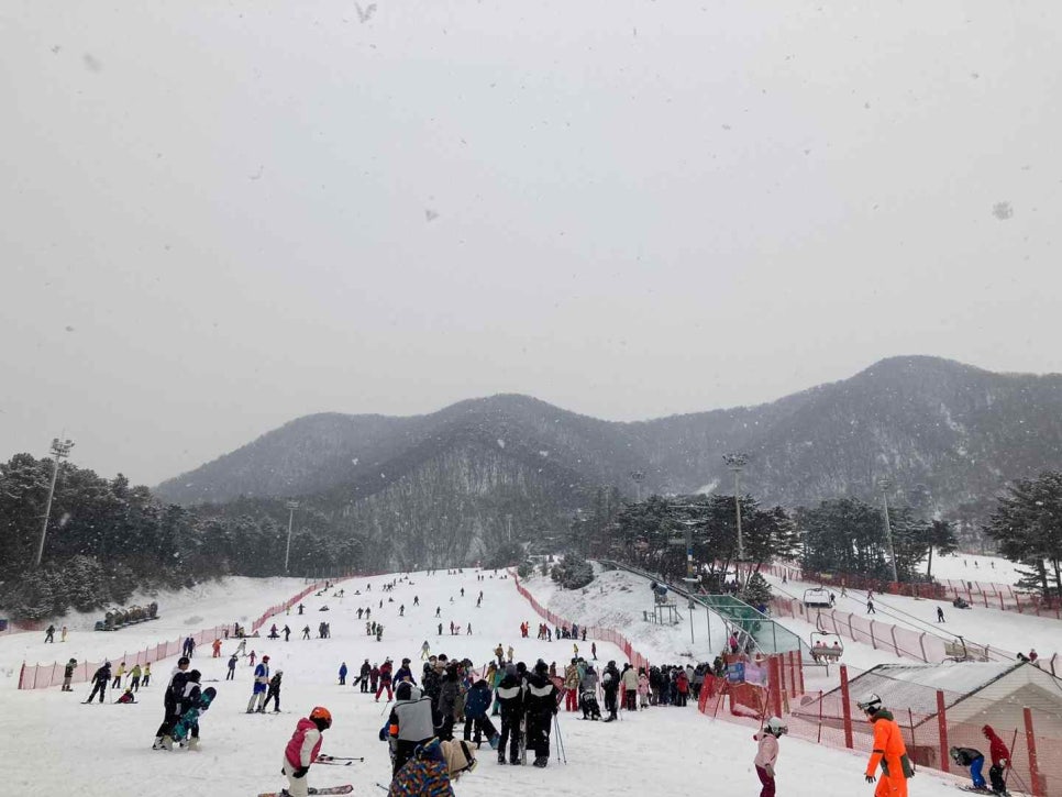 맘스스키 이미지