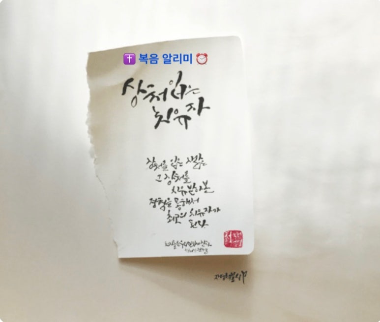 하보 이미지