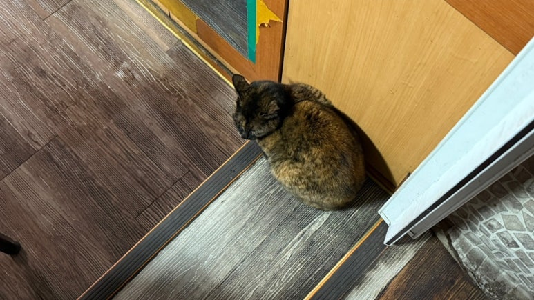 무다리식당 이미지
